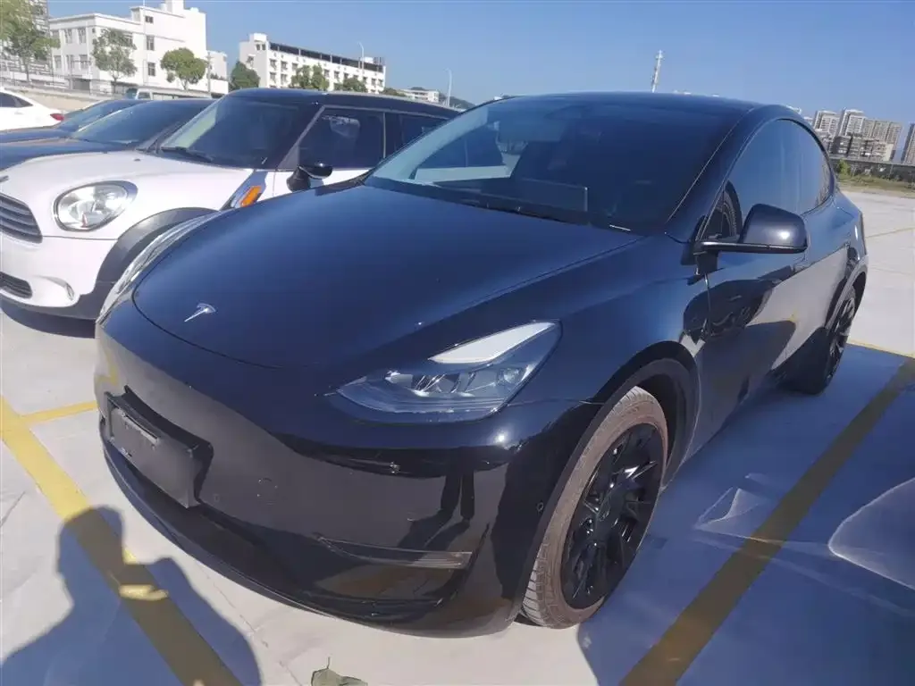 Tesla Model Y 2021 из CN, фото 2