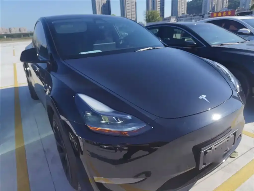 Tesla Model Y 2021 из CN, фото 3