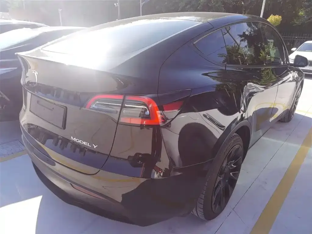 Tesla Model Y 2021 из CN, фото 6