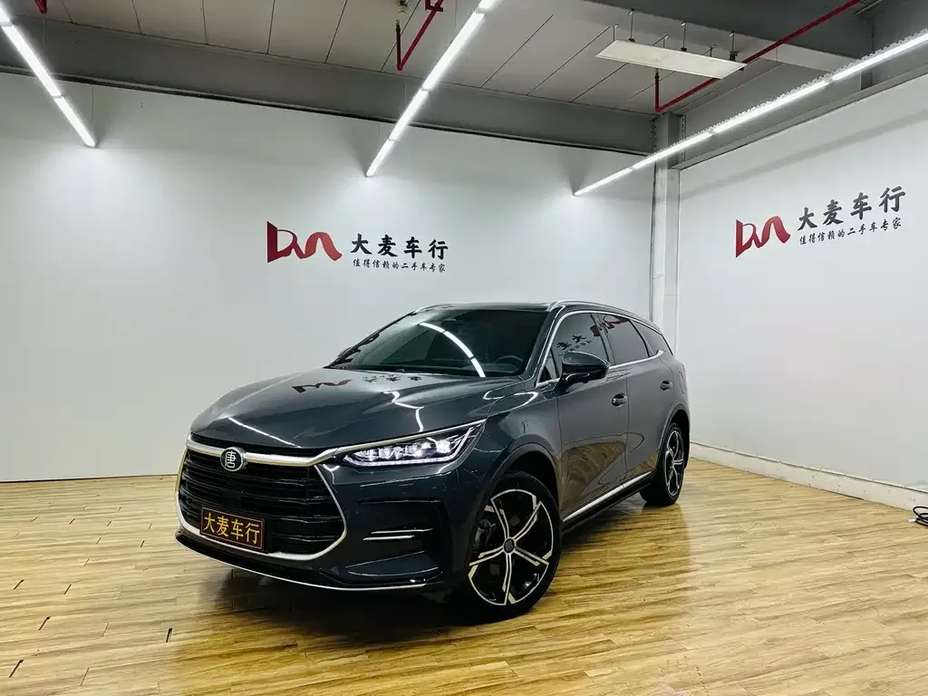 BYD Tang New Energy — фото 1