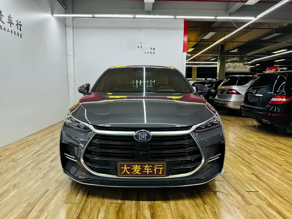 BYD Tang New Energy — фото 2