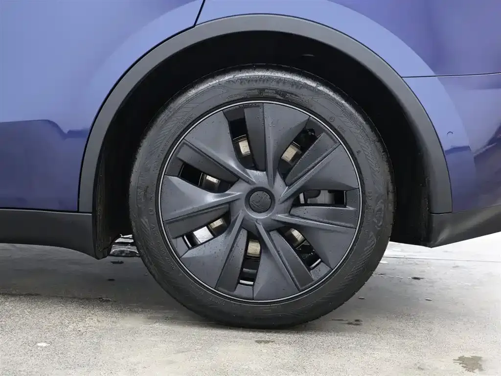 Tesla Model Y 2024 из CN, фото 7
