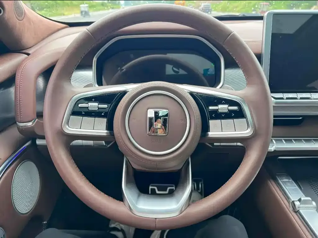 Tank 700 New Energy 2024 из CN, фото 10