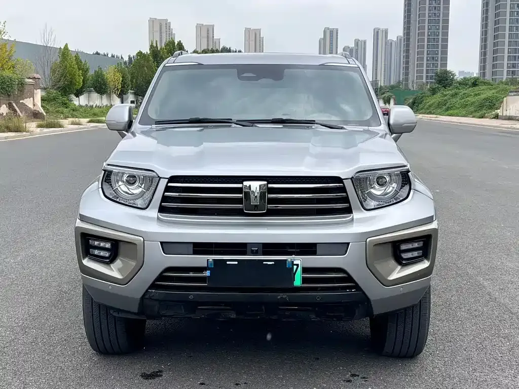 Tank 700 New Energy 2024 из CN, фото 2