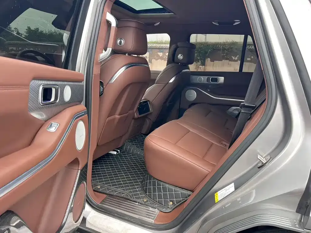 Tank 700 New Energy 2024 из CN, фото 6