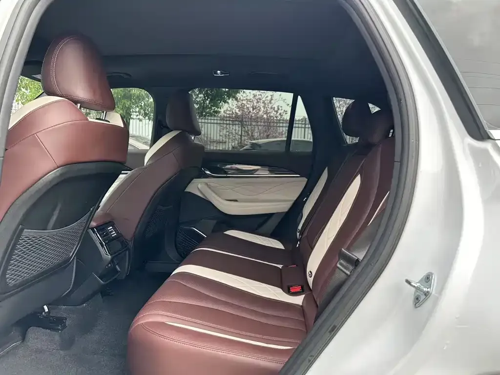 Geely Xingyue L 2023 из CN, фото 6
