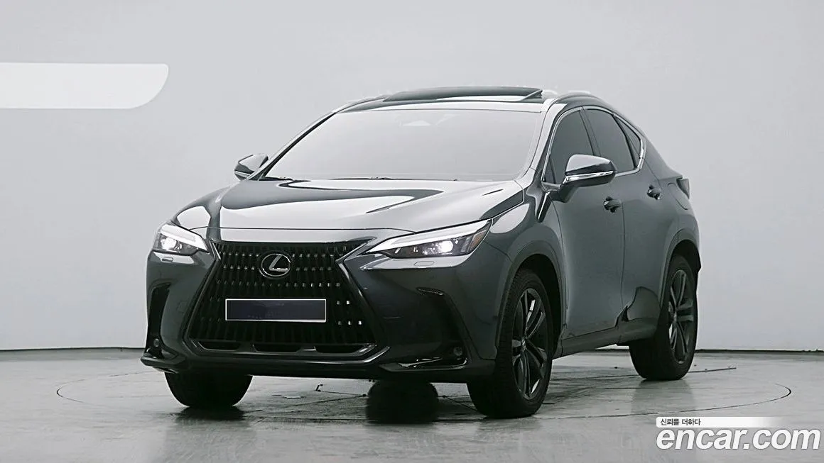 Lexus NX — фото 1