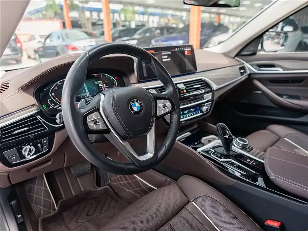 BMW 5 Series 2023 из CN, фото 5