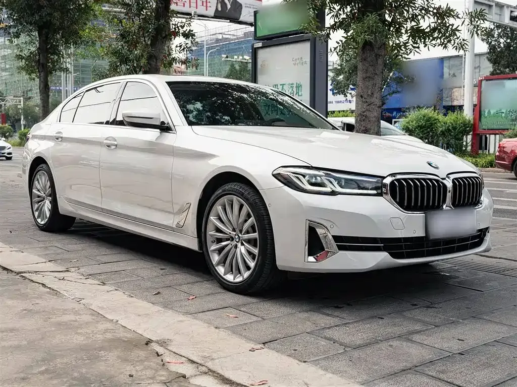 BMW 5 Series 2023 из CN, фото 8
