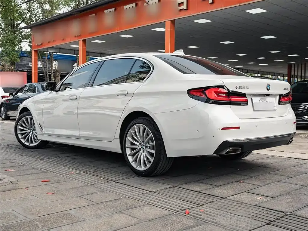 BMW 5 Series 2023 из CN, фото 9