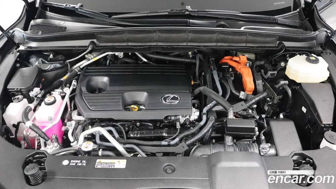 Lexus RX 2025 из KR, фото 6