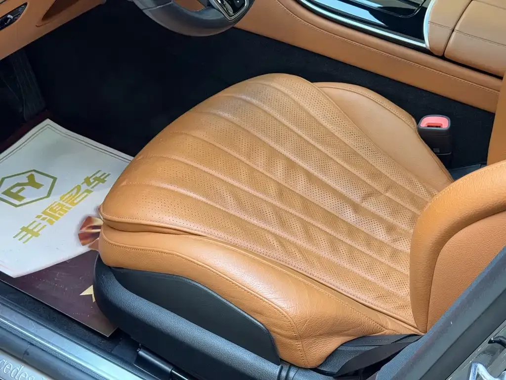 Mercedes-Benz S-Class 2021 из CN, фото 7