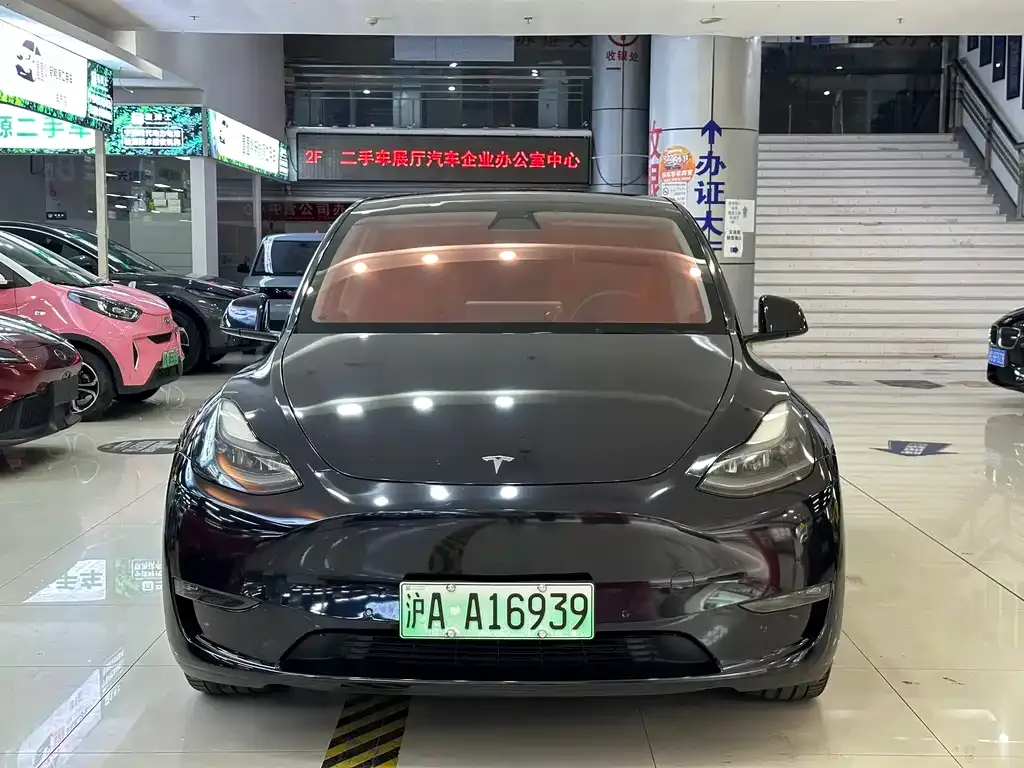 Tesla Model Y — фото 2