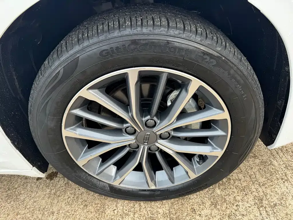 Geely Xingrui 2022 из CN, фото 4