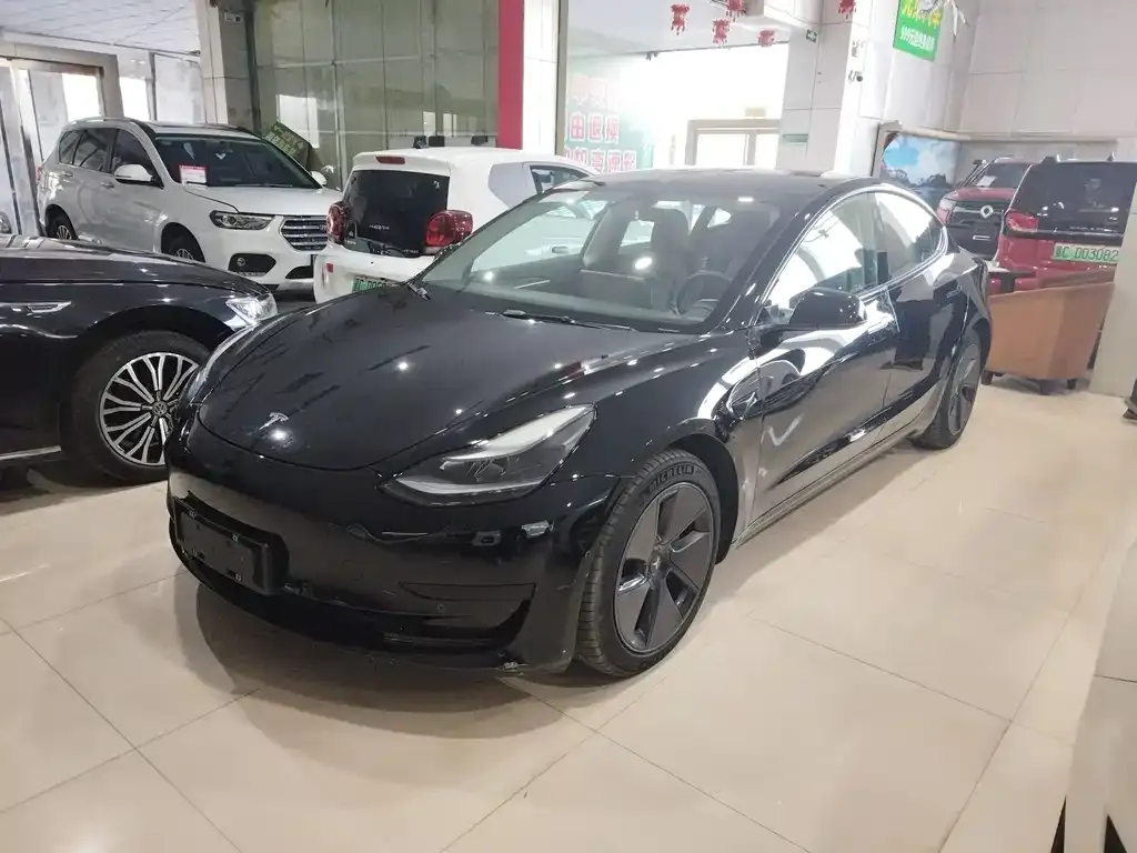 Tesla Model 3 2023 из CN, фото 2