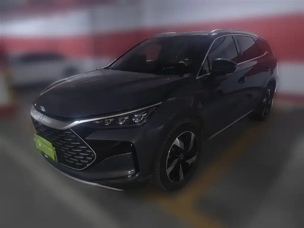 BYD Tang New Energy 2024 из CN, фото 2