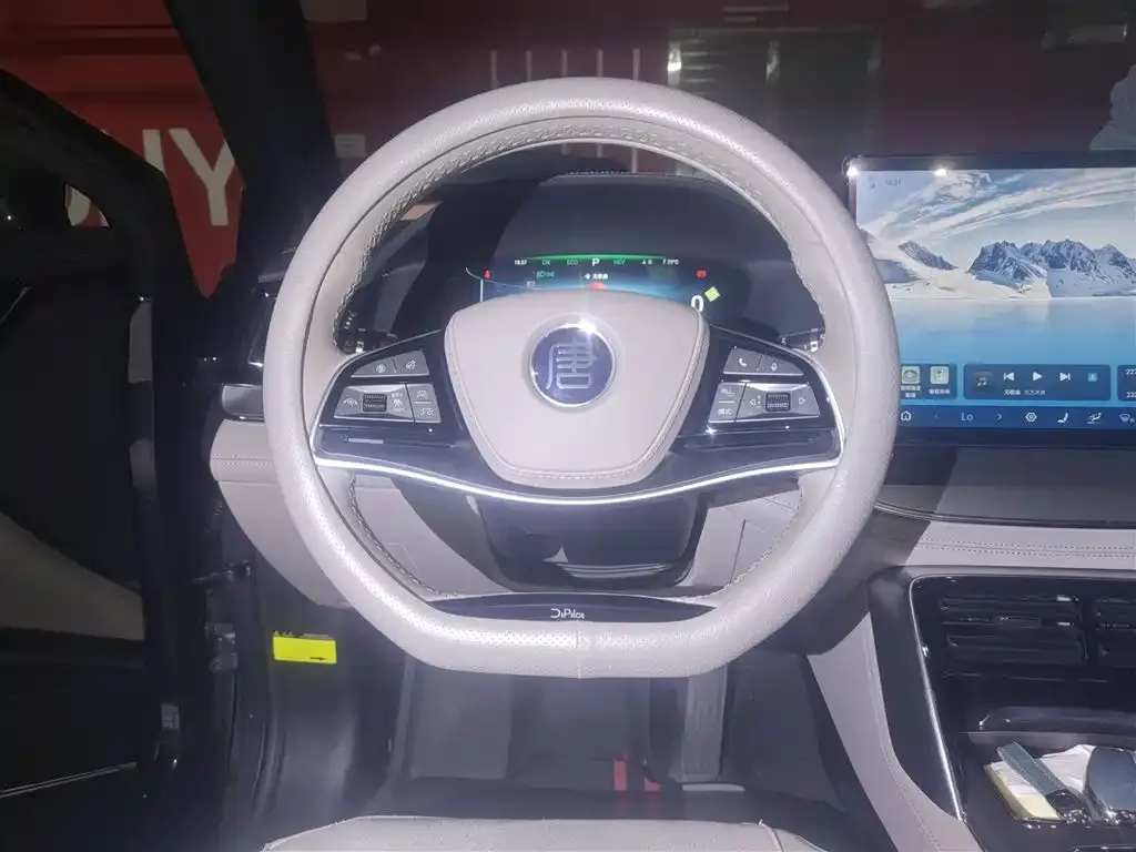 BYD Tang New Energy 2024 из CN, фото 3