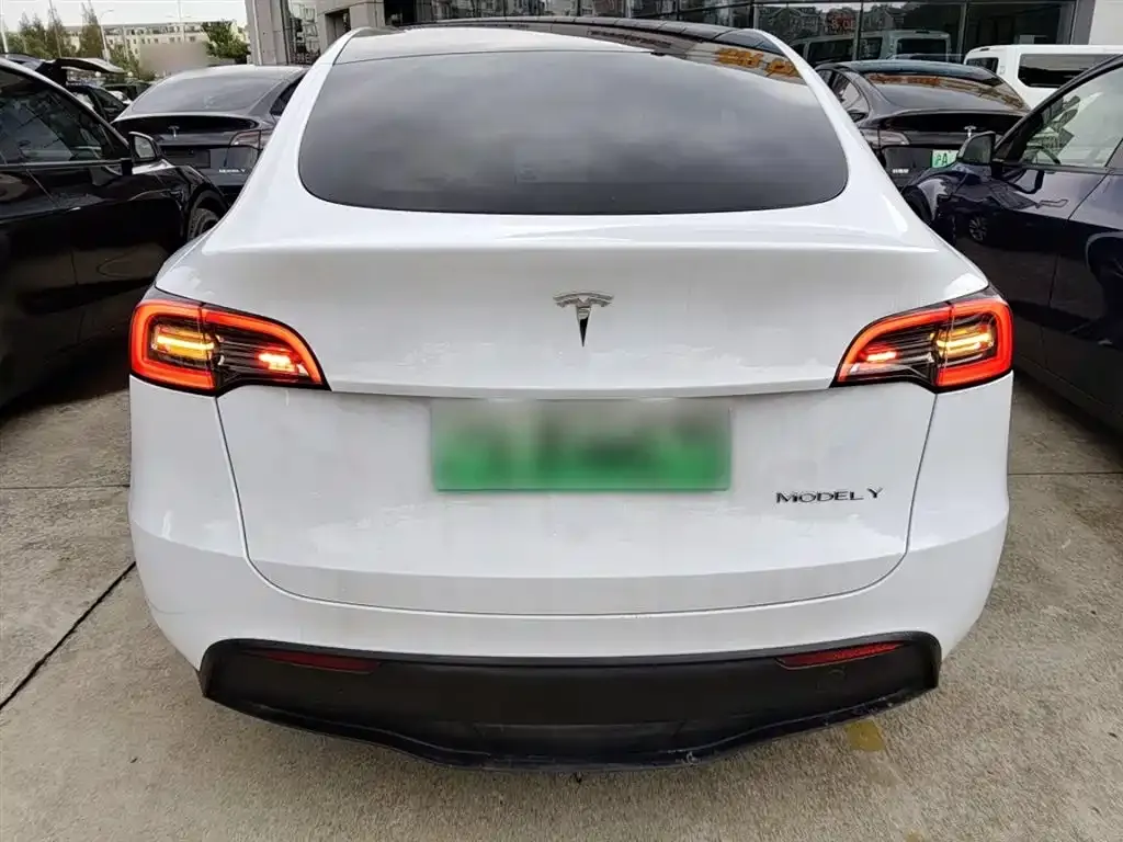 Tesla Model Y 2023 из CN, фото 6