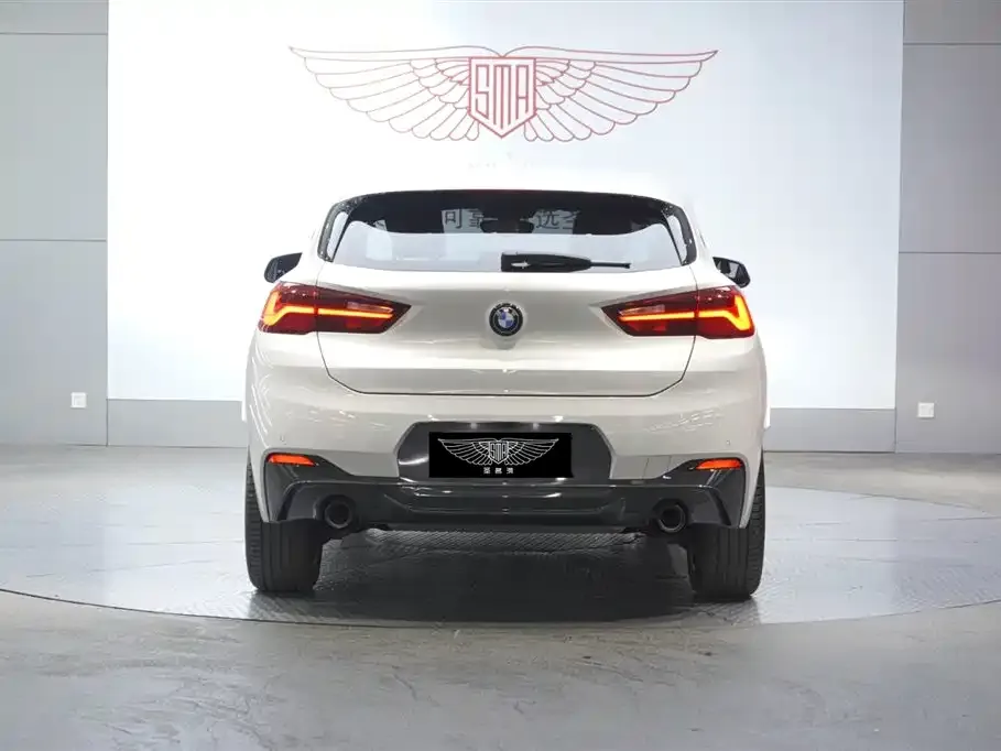 BMW X2 2023 из CN, фото 6