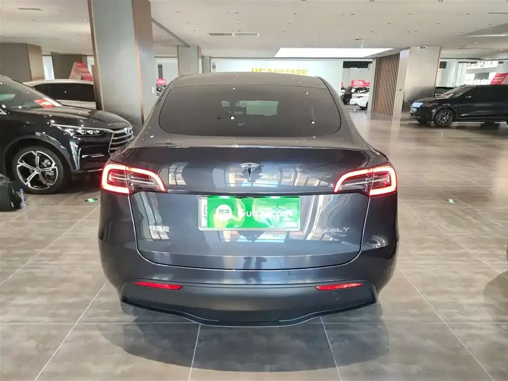 Tesla Model Y — фото 6