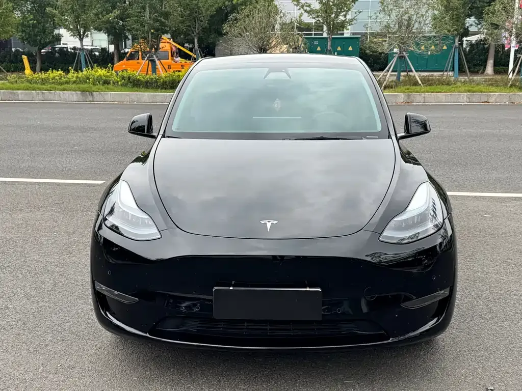 Tesla Model Y — фото 2