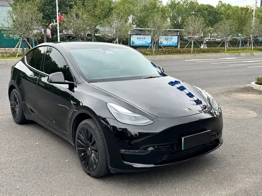 Tesla Model Y — фото 3