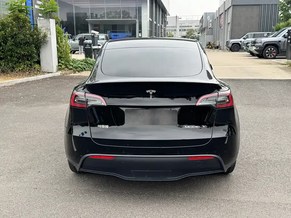 Tesla Model Y — фото 8