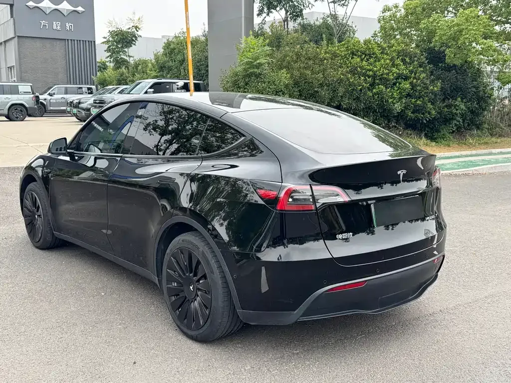Tesla Model Y — фото 9