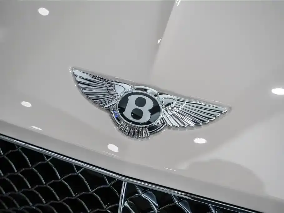 Bentley Continental — фото 5