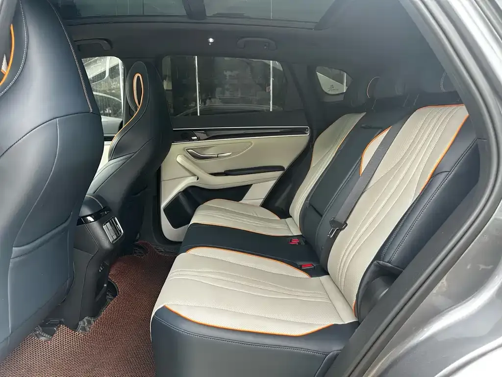 BYD PLUS New Energy 2021 из CN, фото 10