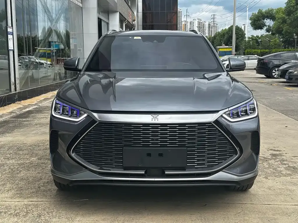 BYD PLUS New Energy 2021 из CN, фото 2
