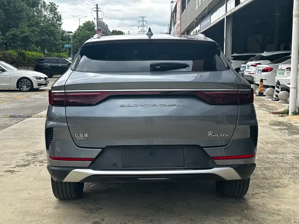 BYD PLUS New Energy 2021 из CN, фото 6