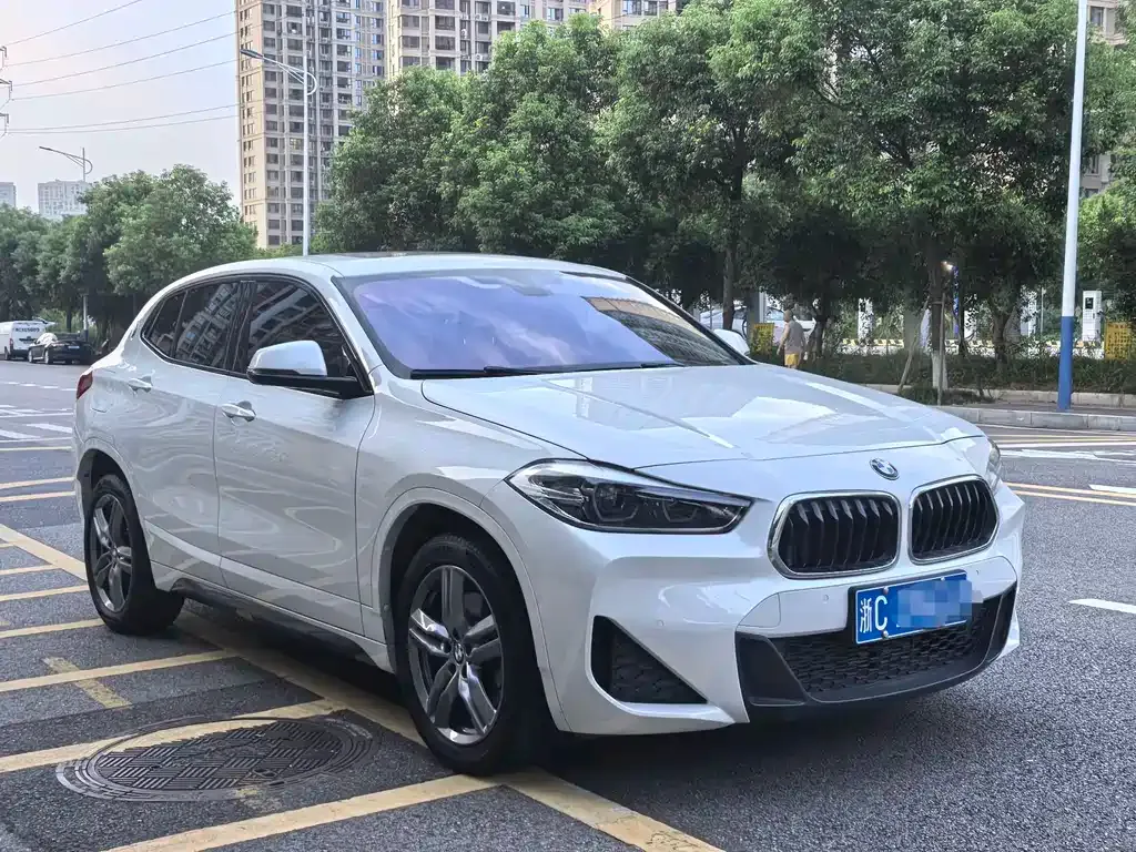 BMW X2 2022 из CN, фото 3