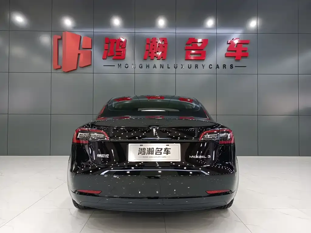 Tesla Model 3 2022 из CN, фото 5