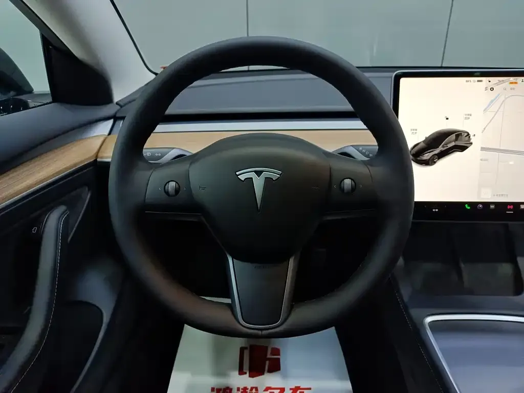 Tesla Model 3 2022 из CN, фото 6