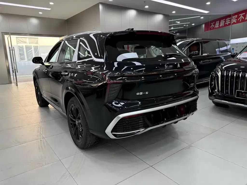 Hongqi HS3 PHEV 2025 из CN, фото 6