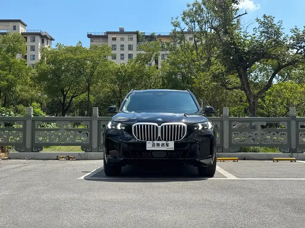 BMW X5 2025 из CN, фото 2
