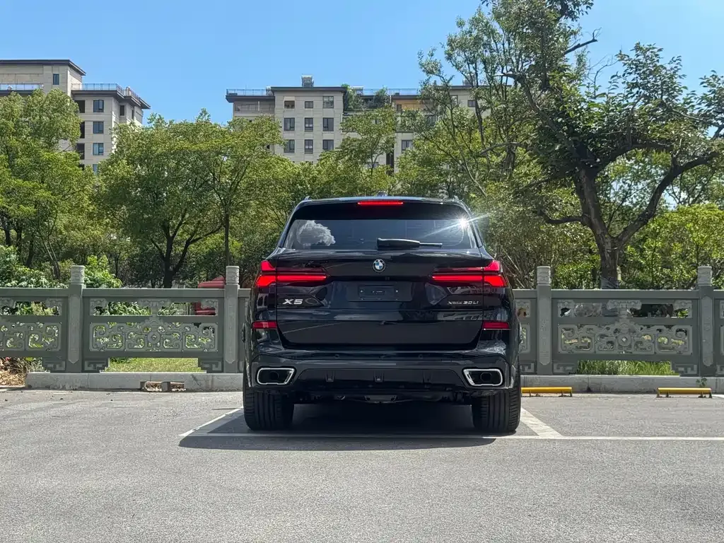BMW X5 2025 из CN, фото 5