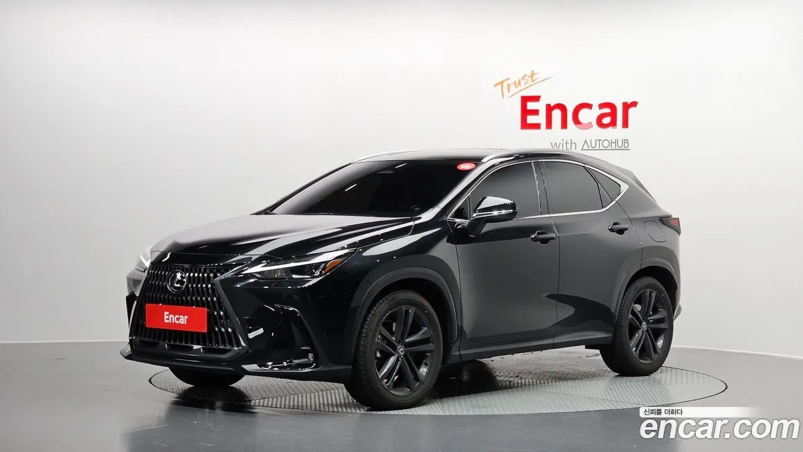 Lexus NX 2025 из KR, фото 1