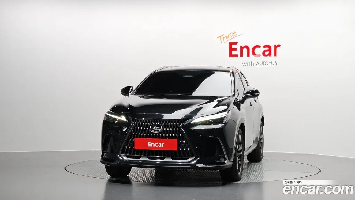 Lexus NX 2025 из KR, фото 3