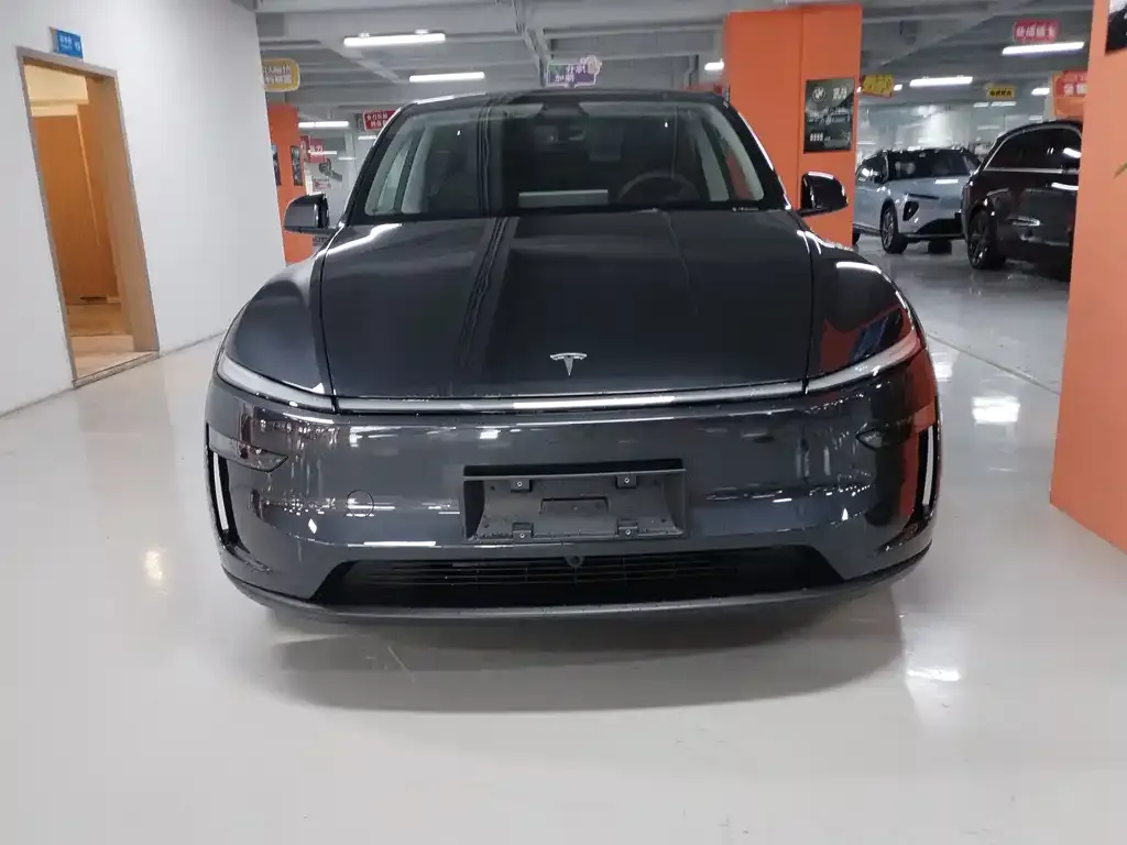 [object Object] Model Y 2025 из CN, фото 2