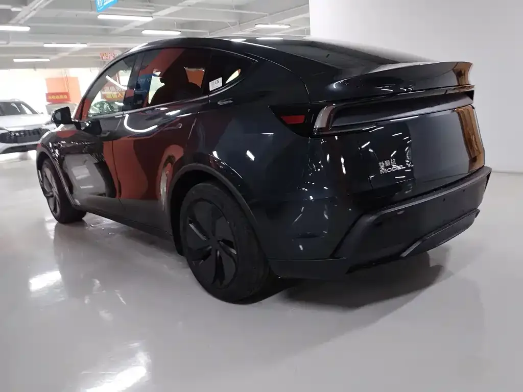 [object Object] Model Y 2025 из CN, фото 7