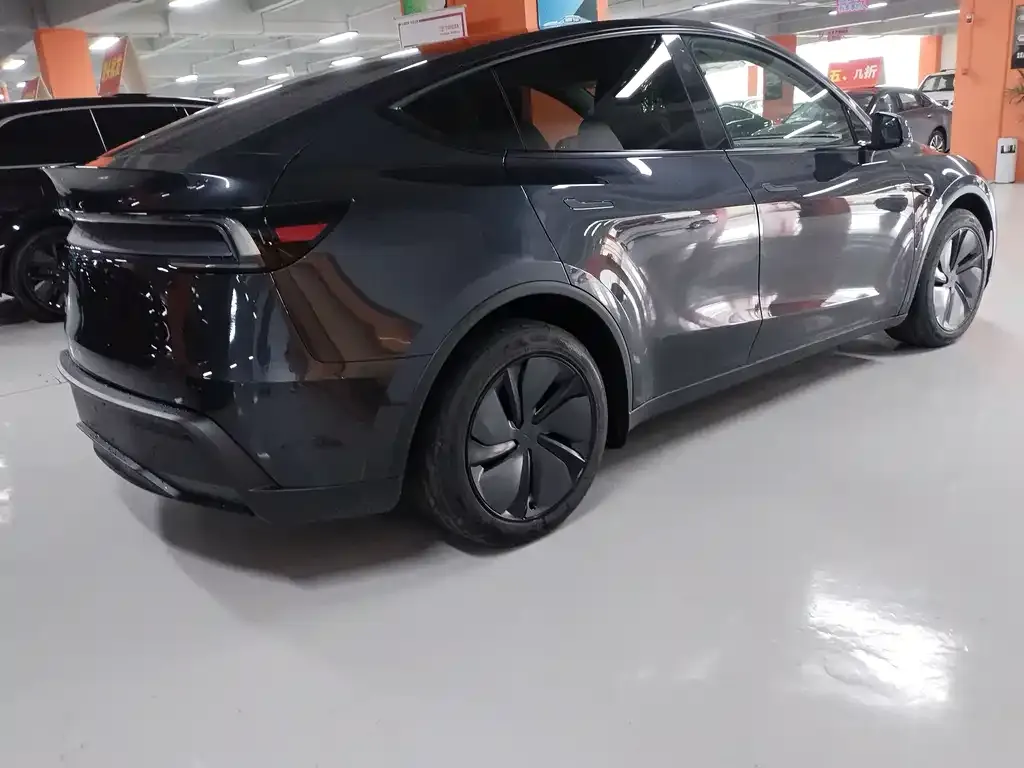 [object Object] Model Y 2025 из CN, фото 9