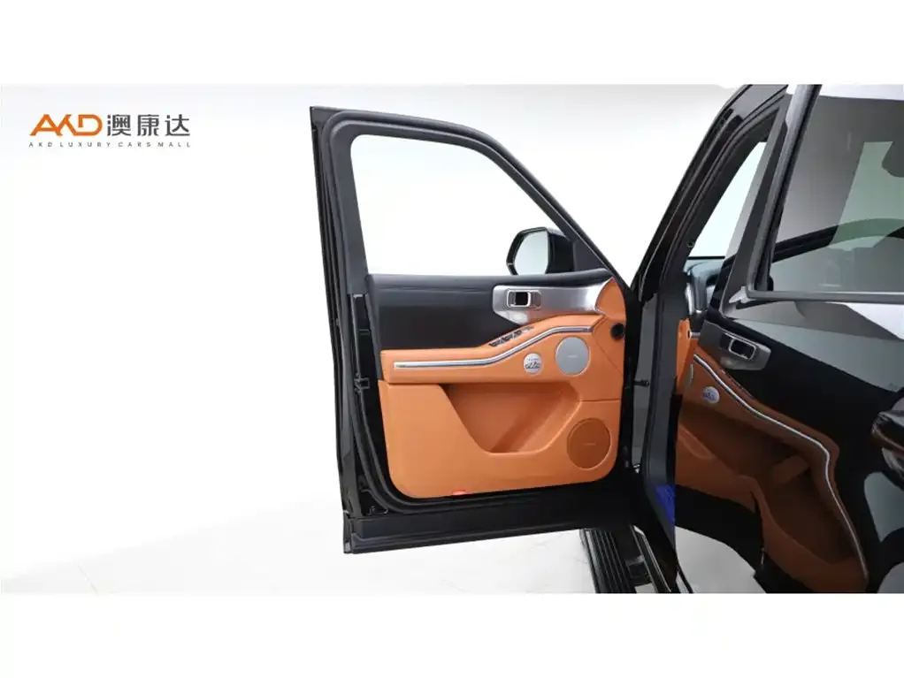 Tank 700 New Energy 2024 из CN, фото 10