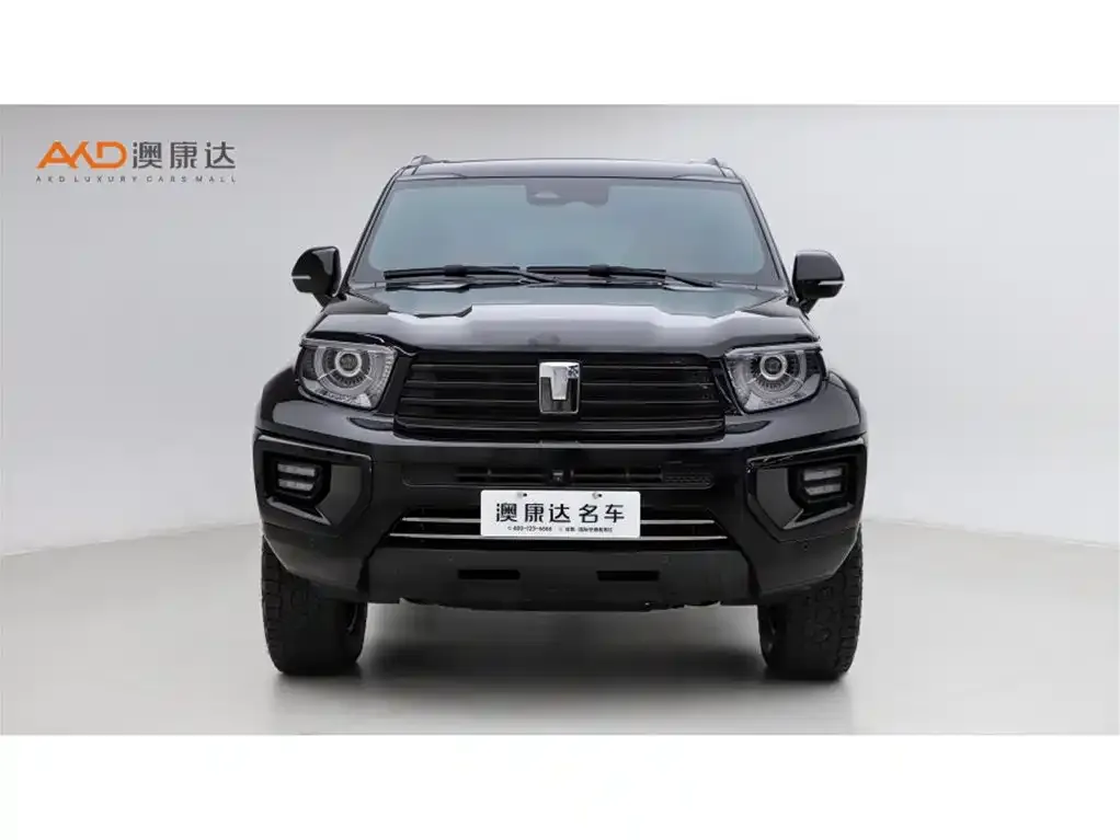 Tank 700 New Energy 2024 из CN, фото 2