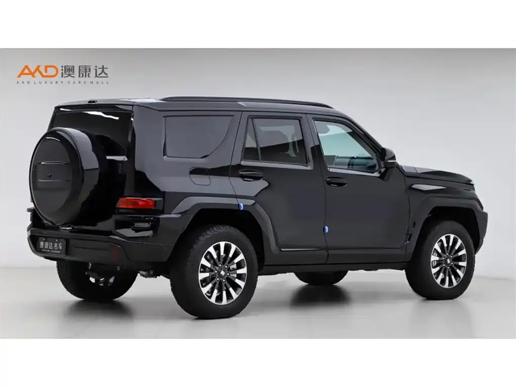 Tank 700 New Energy 2024 из CN, фото 3