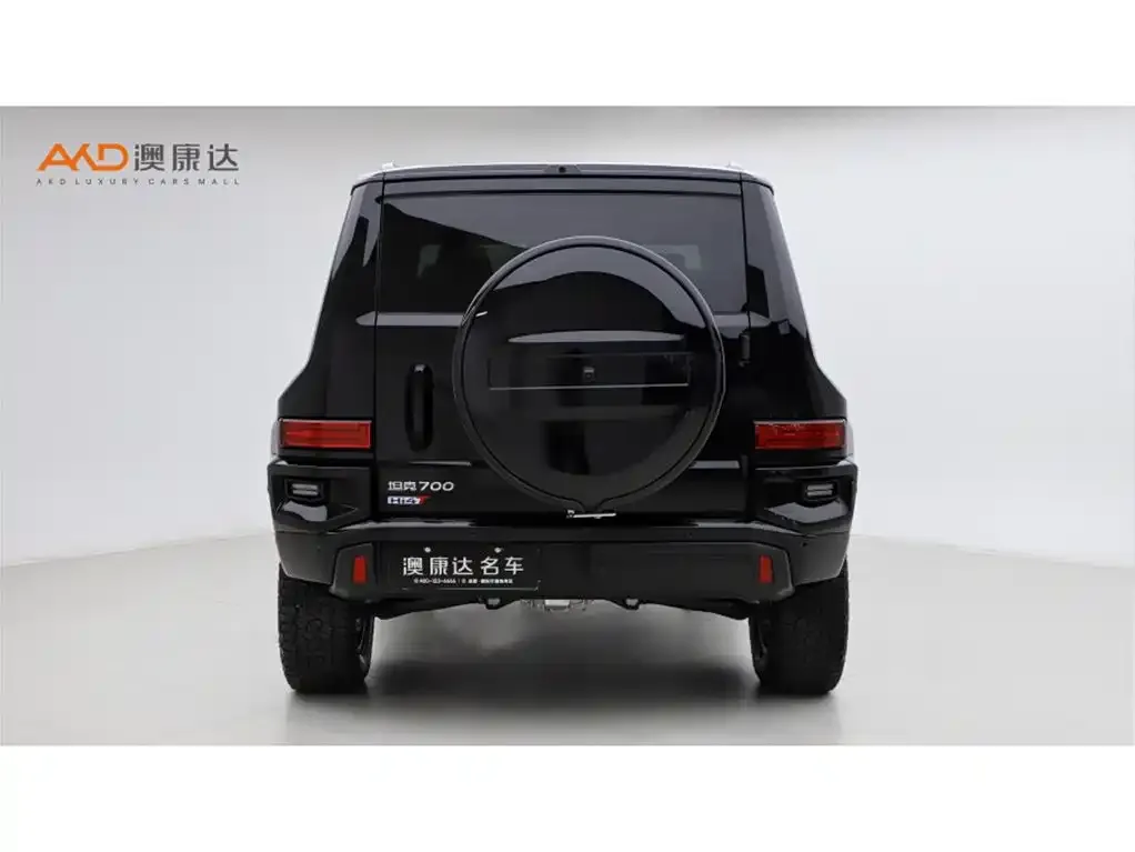 Tank 700 New Energy 2024 из CN, фото 4