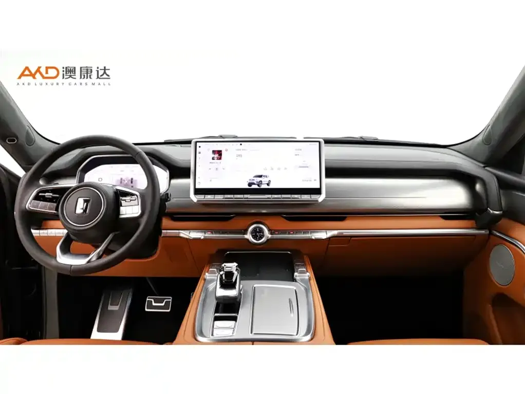 Tank 700 New Energy 2024 из CN, фото 5