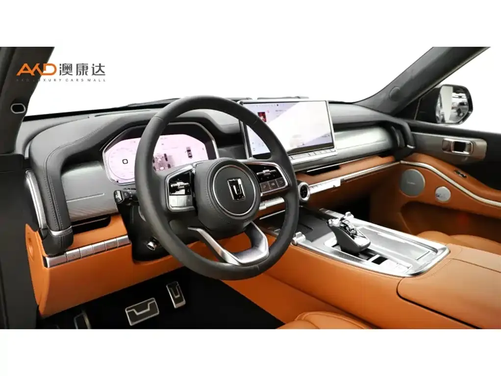 Tank 700 New Energy 2024 из CN, фото 6