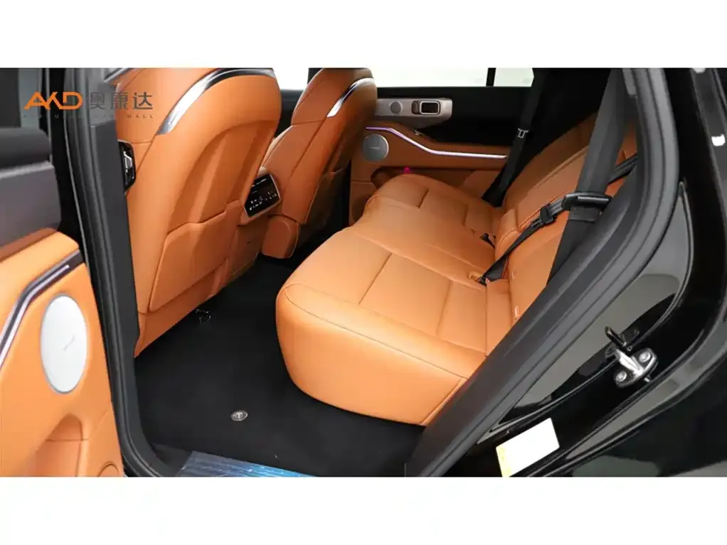 Tank 700 New Energy 2024 из CN, фото 7